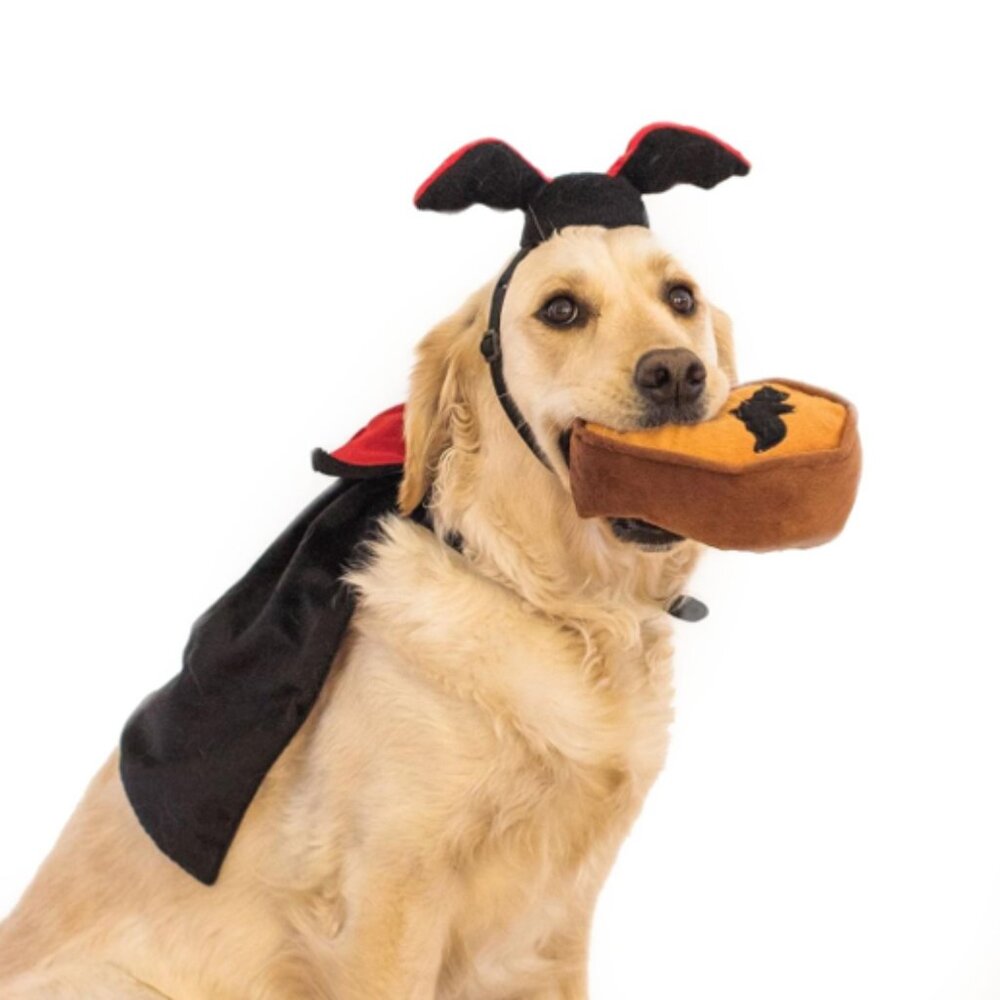Zippy Paws 3-piece Plush Dracula Halloween Costume Kit Set for Dogs OSFM NWT